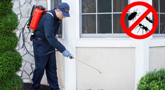 Devrekani Gümüşkurt İlaçlama böcek ilaçlama ve haşere kontrolü — ilaclama-tr.com